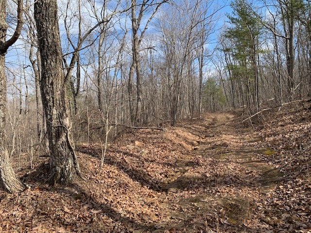 0 Hebbertsburg Road Crab Orchard TN 37723