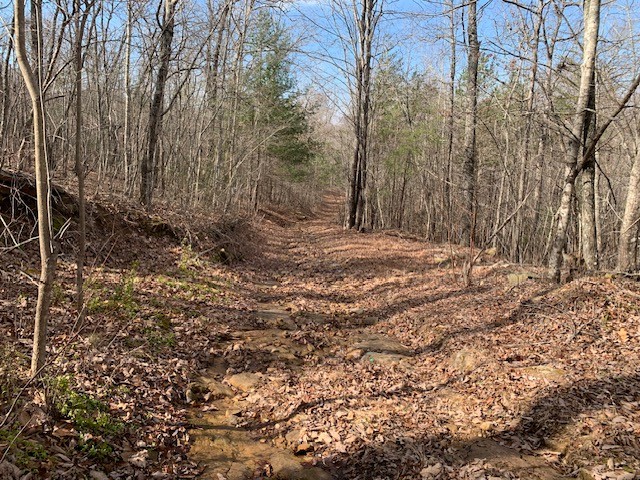 0 Hebbertsburg Road Crab Orchard TN 37723