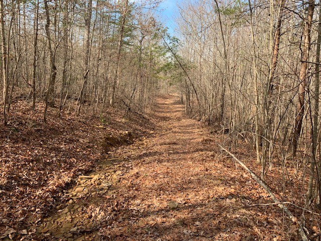 0 Hebbertsburg Road Crab Orchard TN 37723