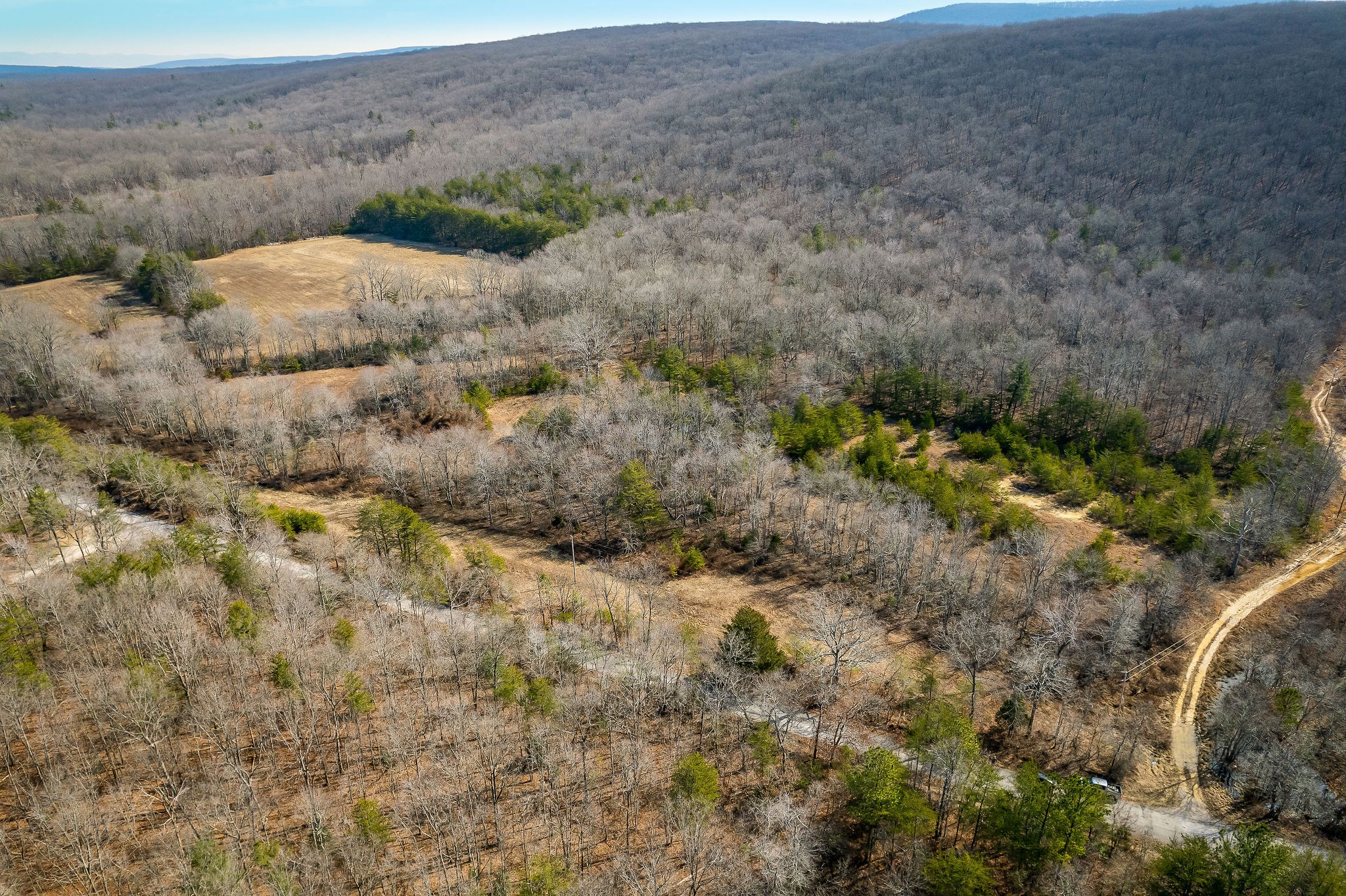 0 Hebbertsburg Road Crab Orchard TN 37723