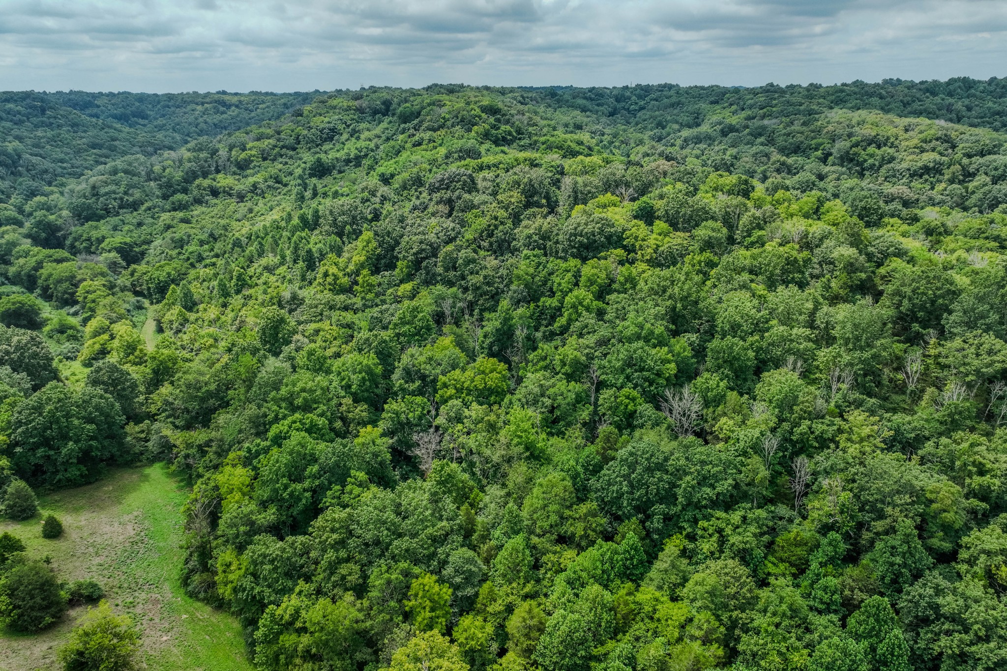 3264 Martin Hollow Road Culleoka TN 38451