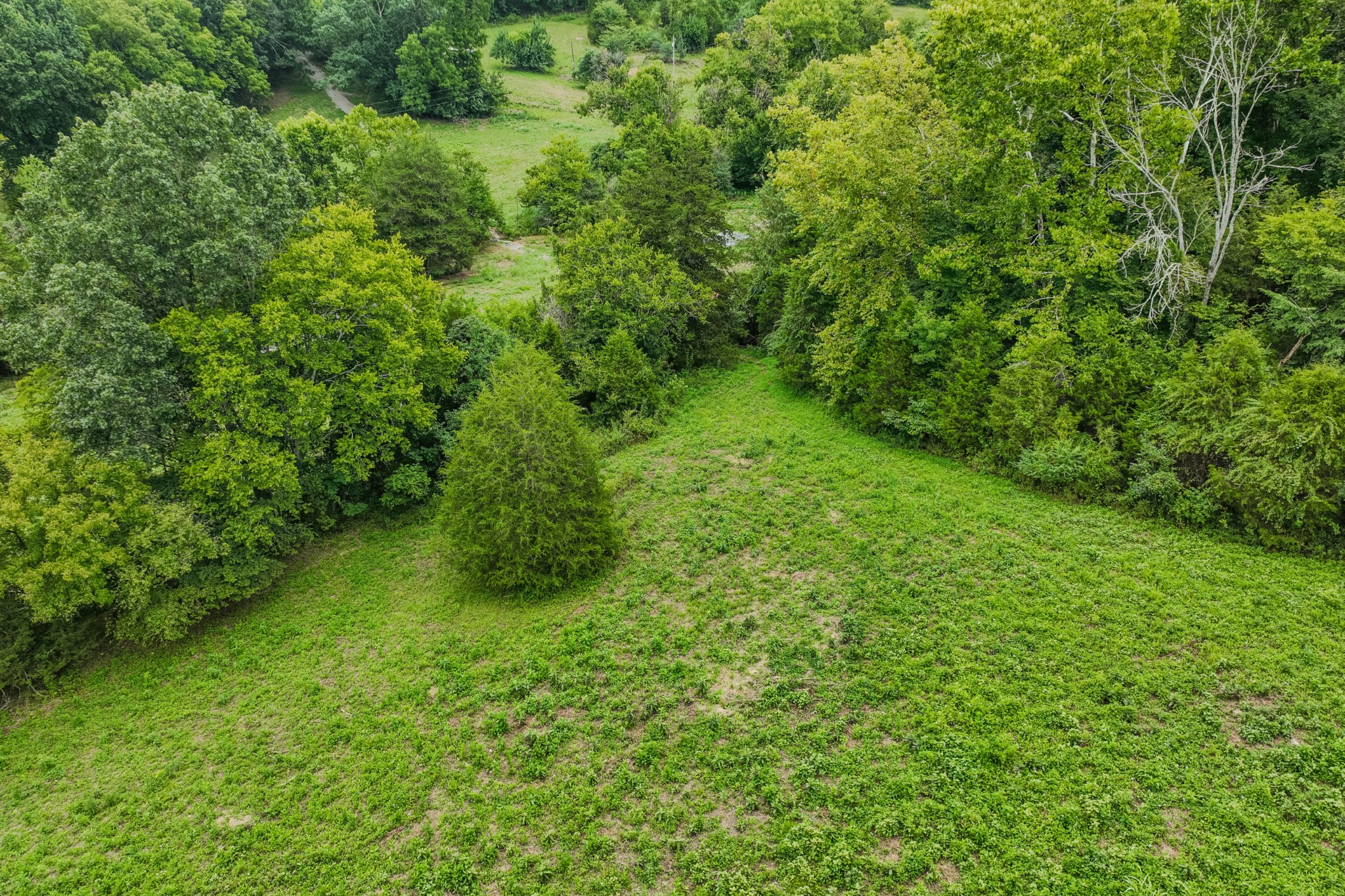 3264 Martin Hollow Road Culleoka TN 38451