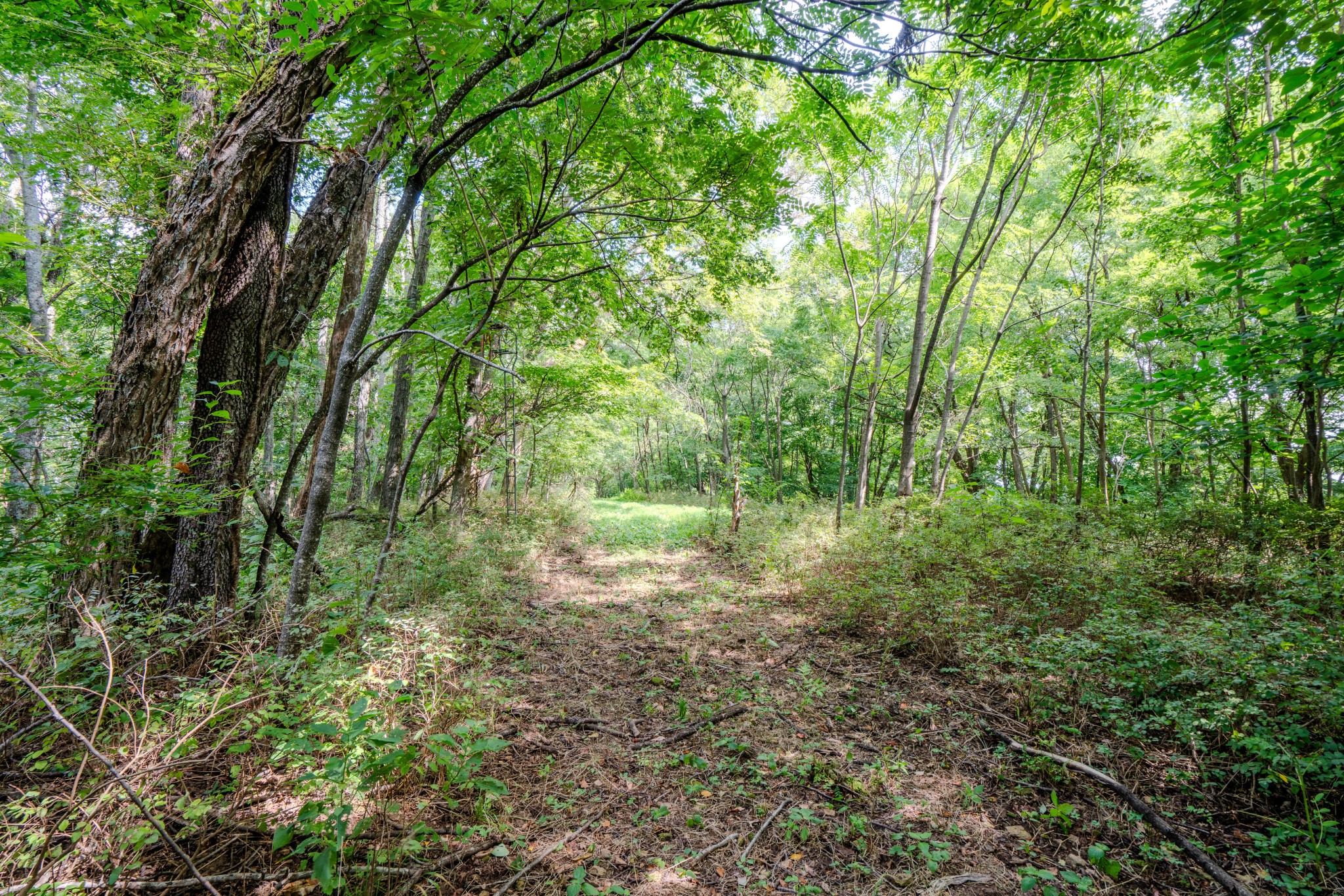 3264 Martin Hollow Road Culleoka TN 38451