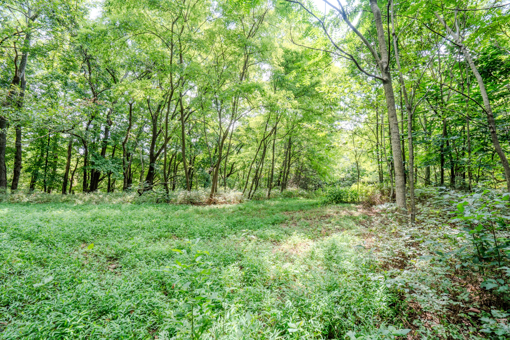 3264 Martin Hollow Road Culleoka TN 38451