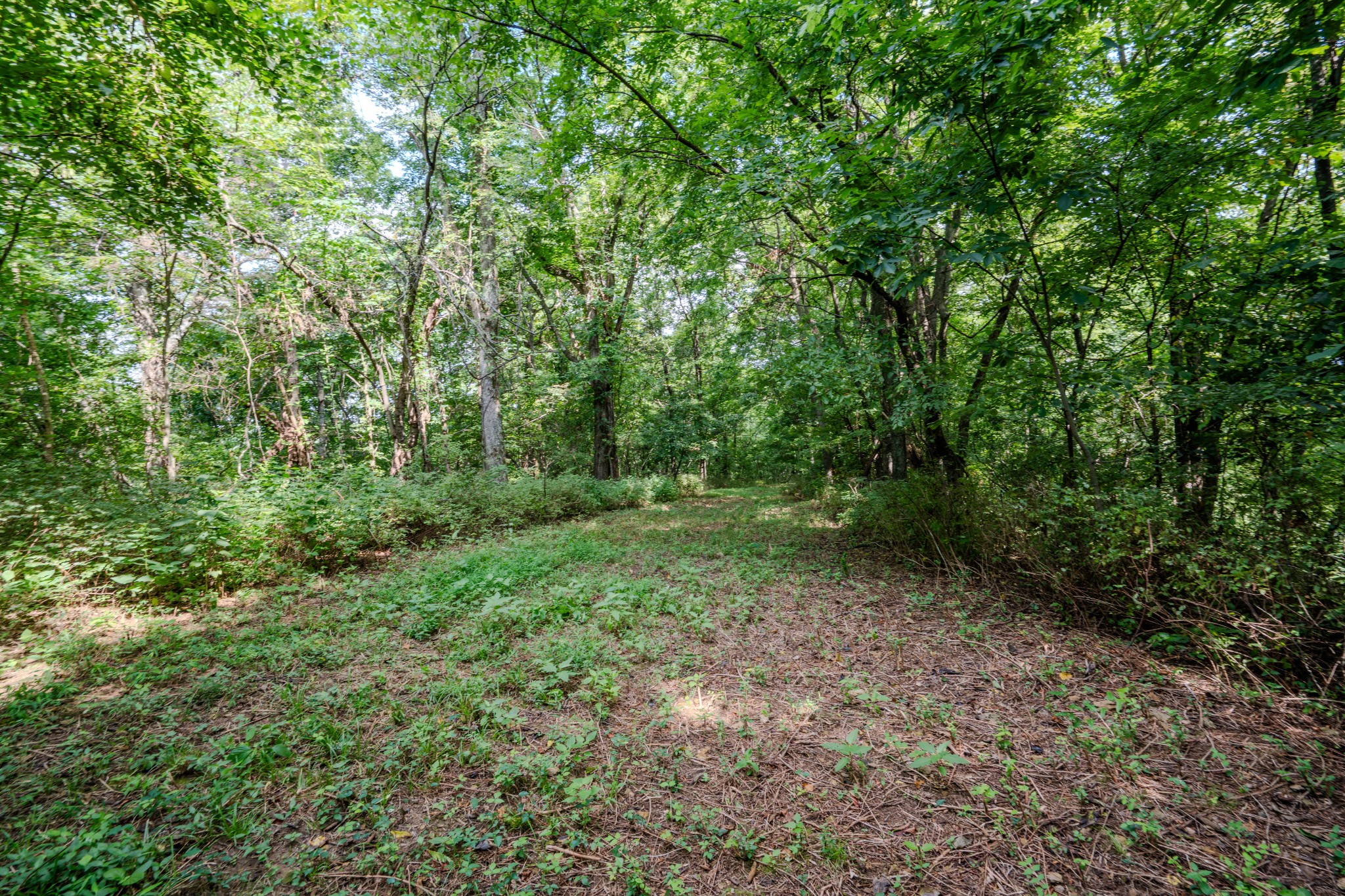 3264 Martin Hollow Road Culleoka TN 38451