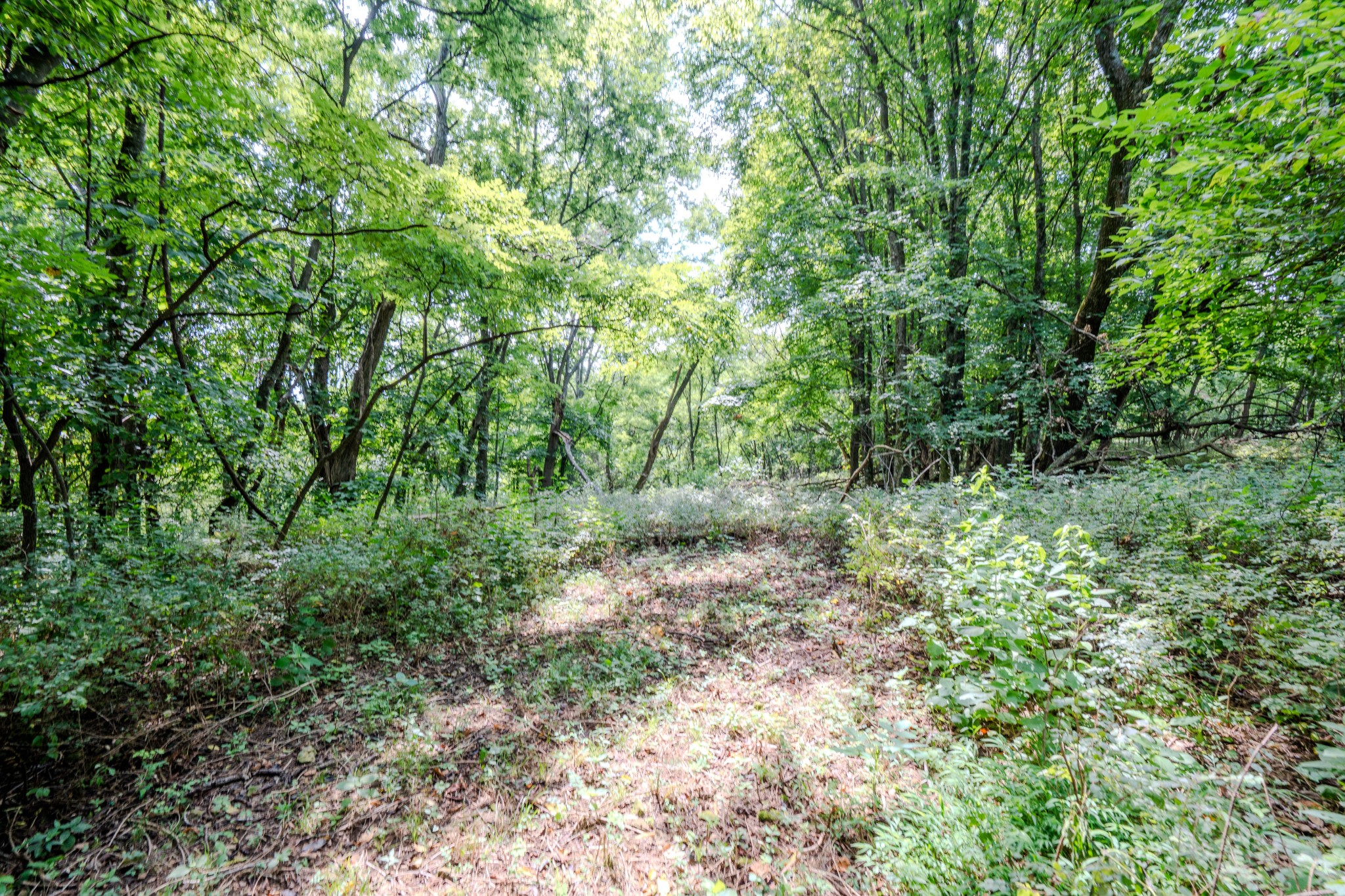 3264 Martin Hollow Road Culleoka TN 38451