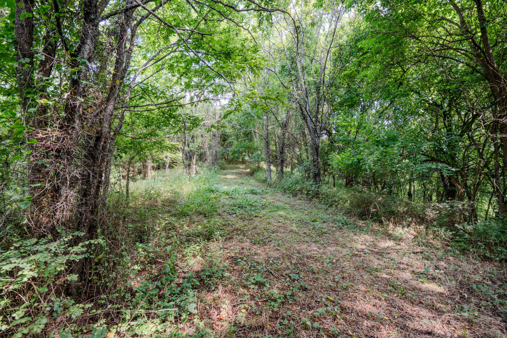 3264 Martin Hollow Road Culleoka TN 38451