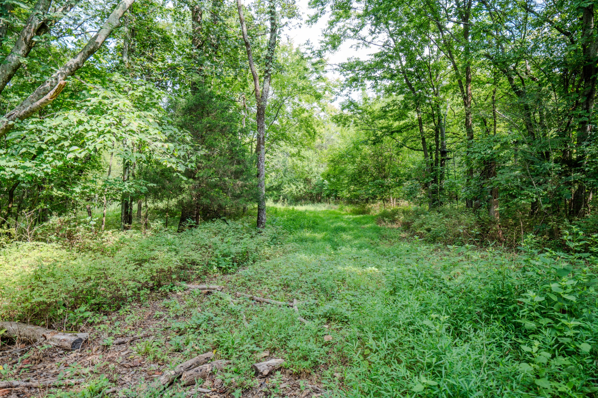 3264 Martin Hollow Road Culleoka TN 38451
