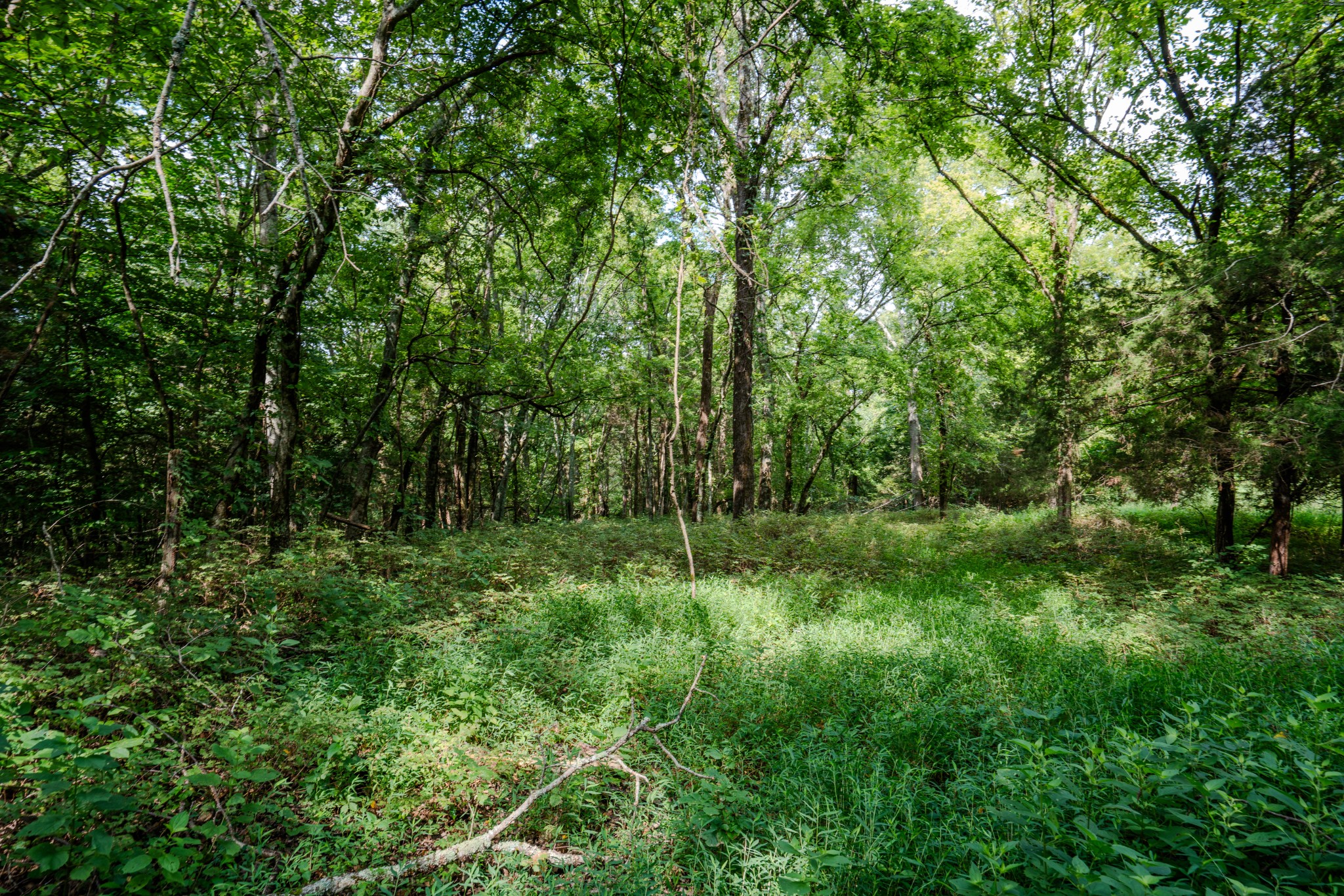 3264 Martin Hollow Road Culleoka TN 38451