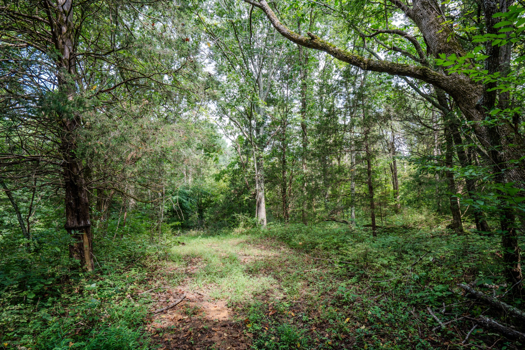 3264 Martin Hollow Road Culleoka TN 38451