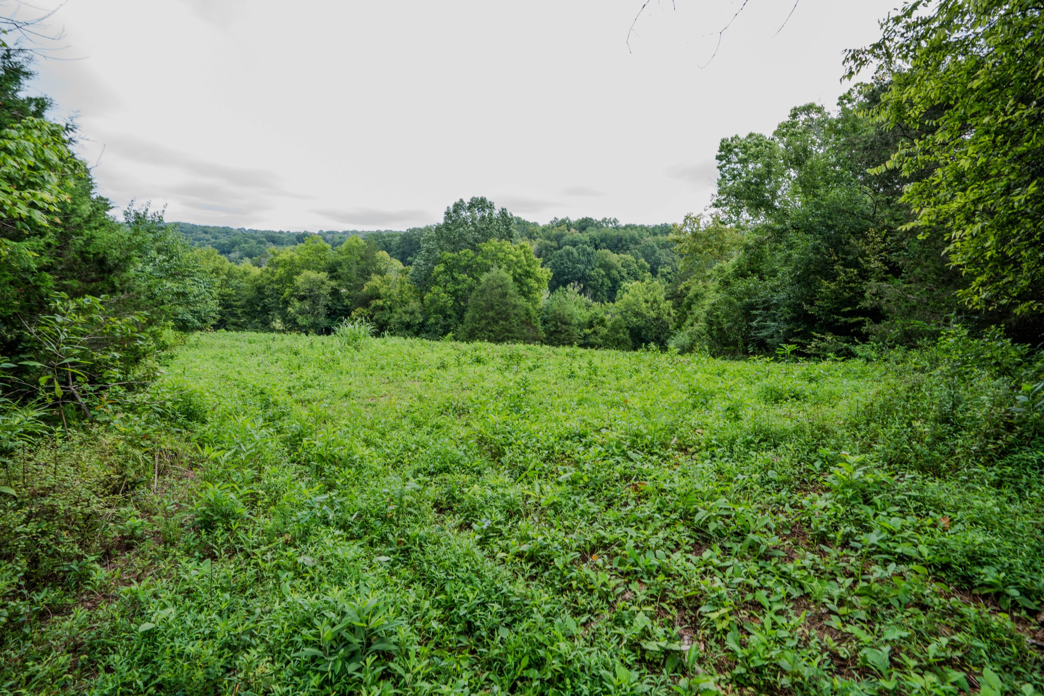 3264 Martin Hollow Road Culleoka TN 38451