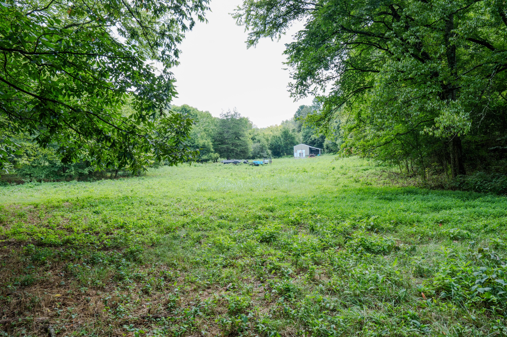 3264 Martin Hollow Road Culleoka TN 38451