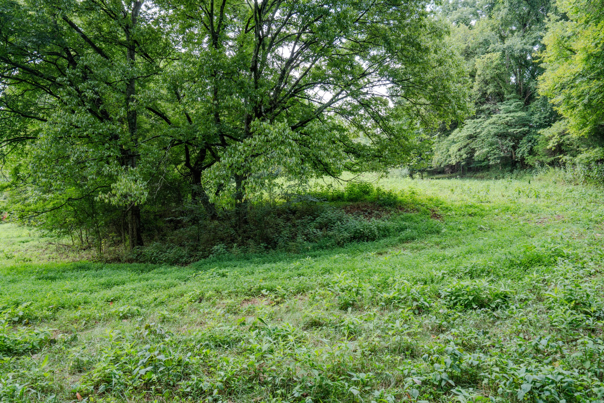 3264 Martin Hollow Road Culleoka TN 38451