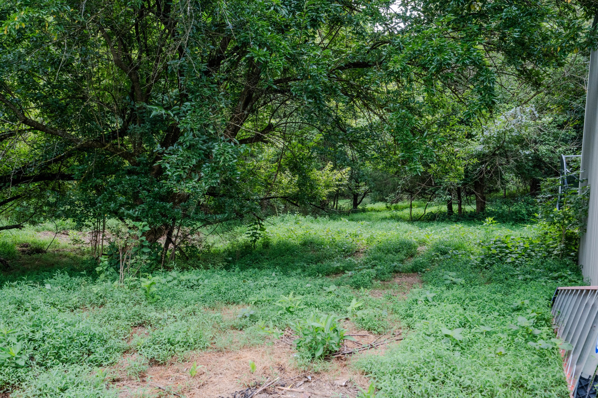 3264 Martin Hollow Road Culleoka TN 38451