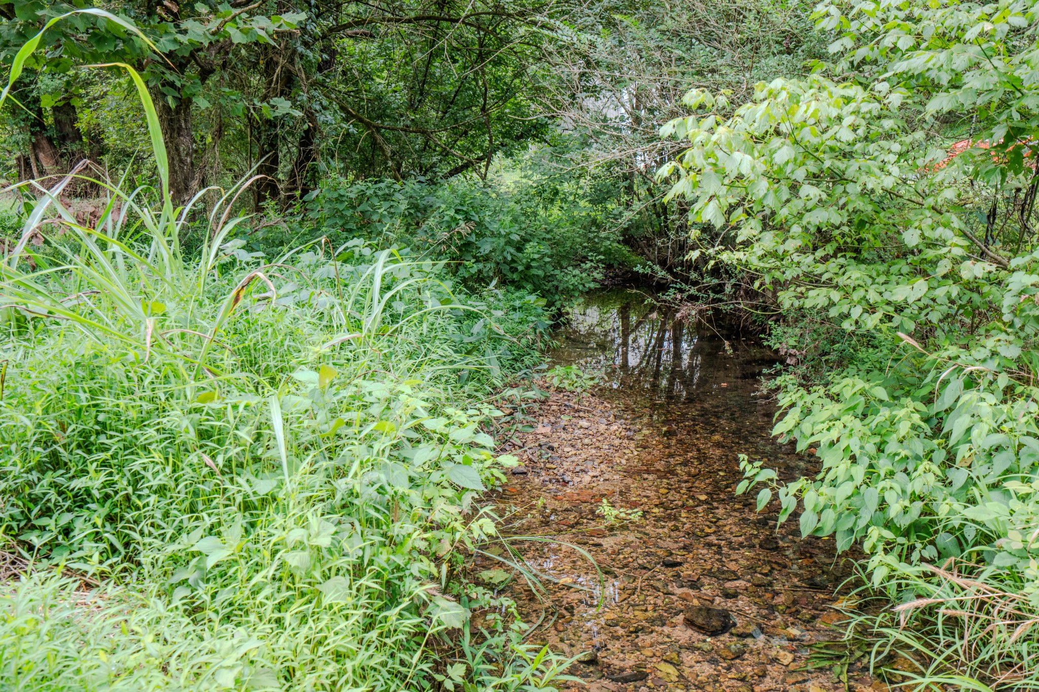3264 Martin Hollow Road Culleoka TN 38451