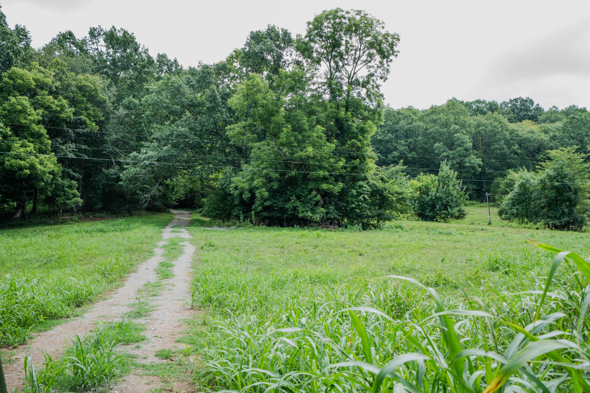 3264 Martin Hollow Road Culleoka TN 38451