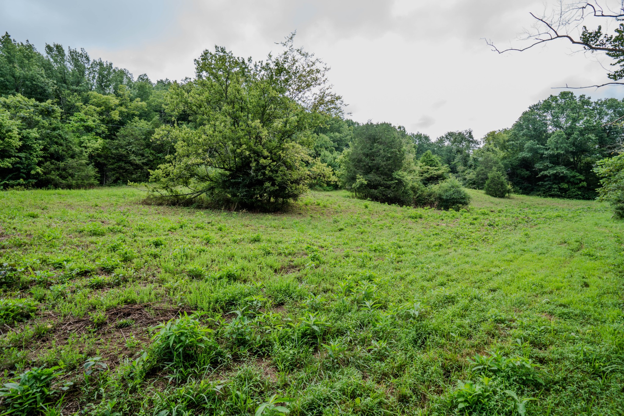 3264 Martin Hollow Road Culleoka TN 38451