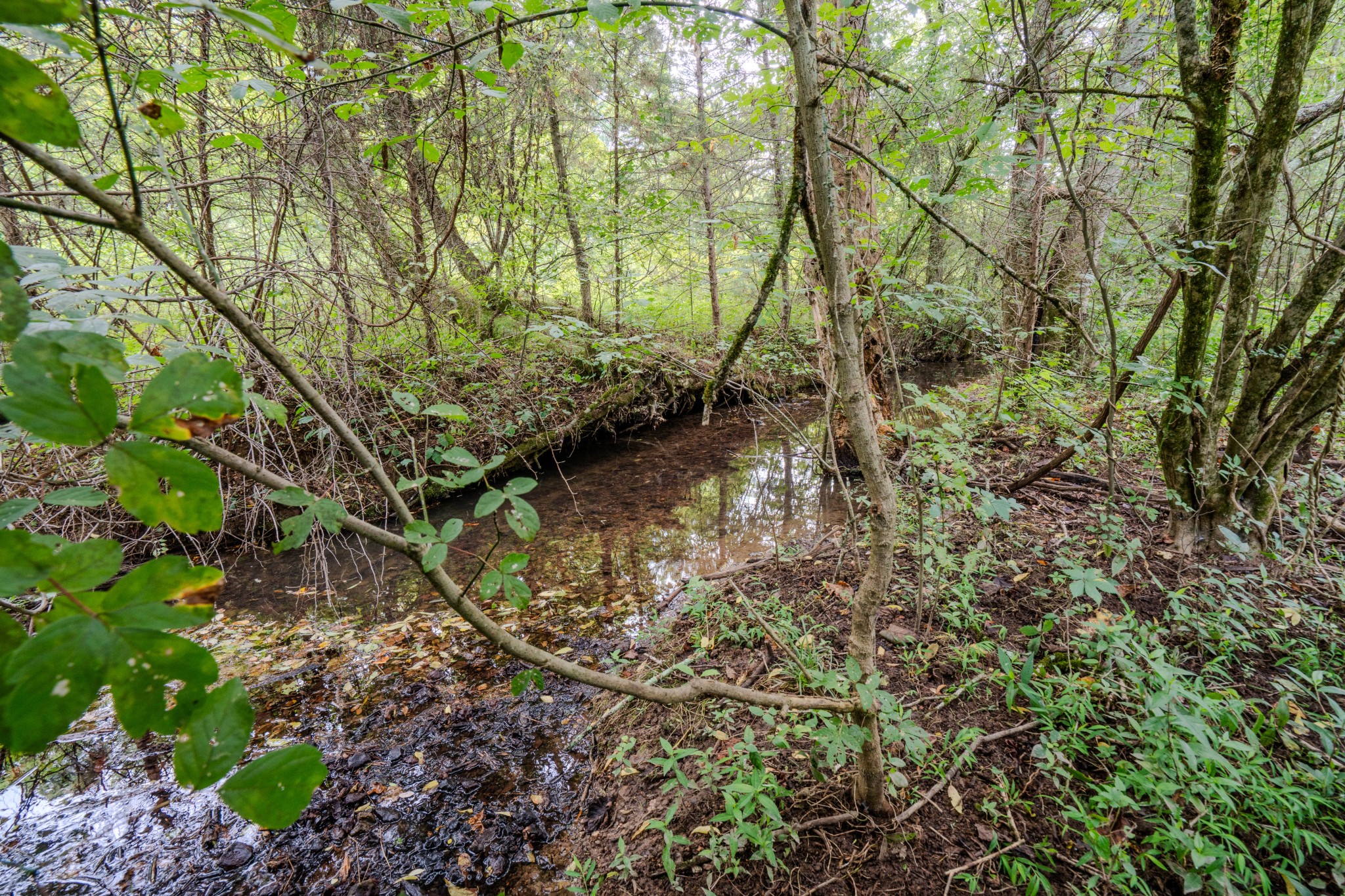 3264 Martin Hollow Road Culleoka TN 38451