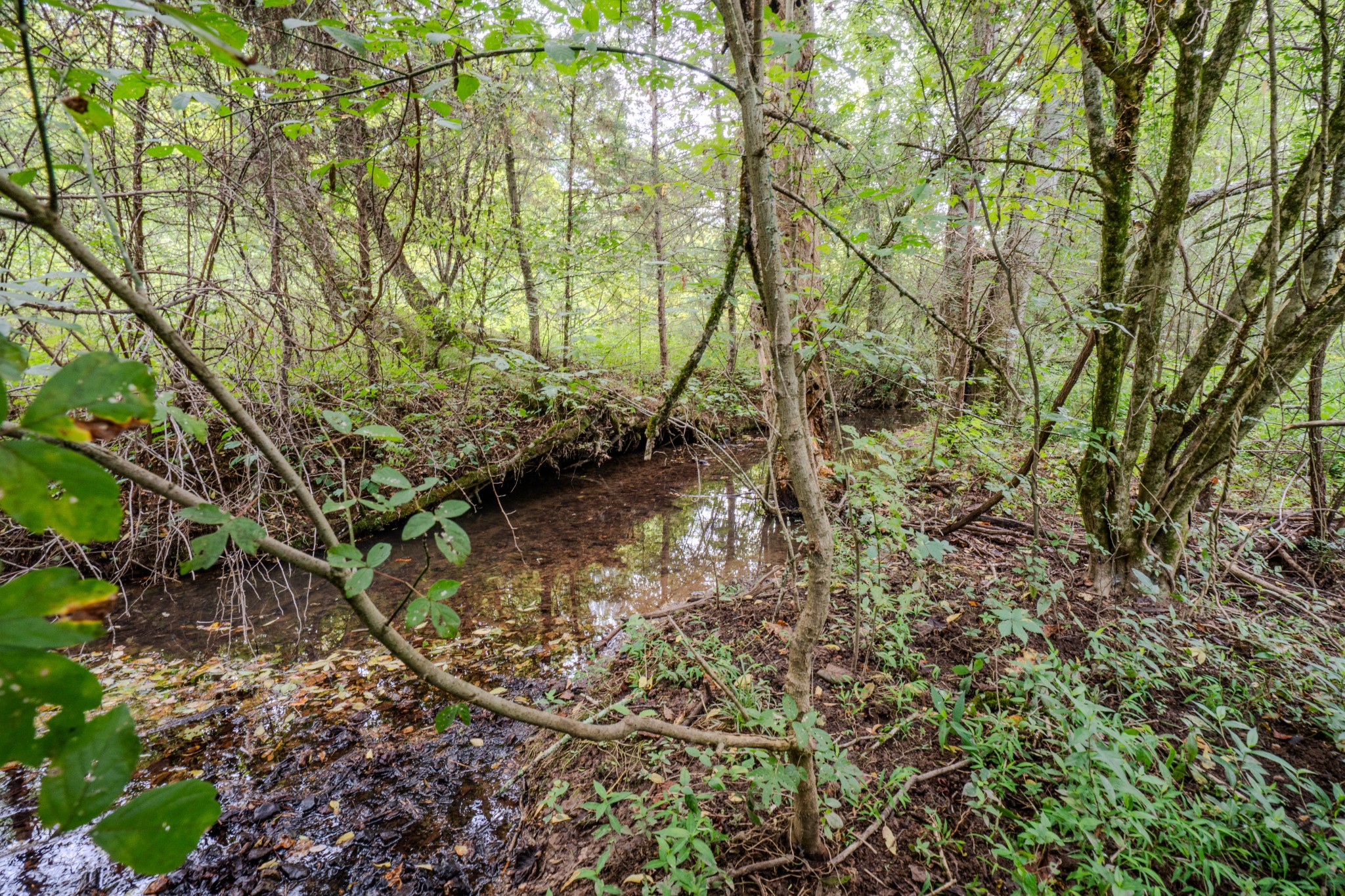 3264 Martin Hollow Road Culleoka TN 38451