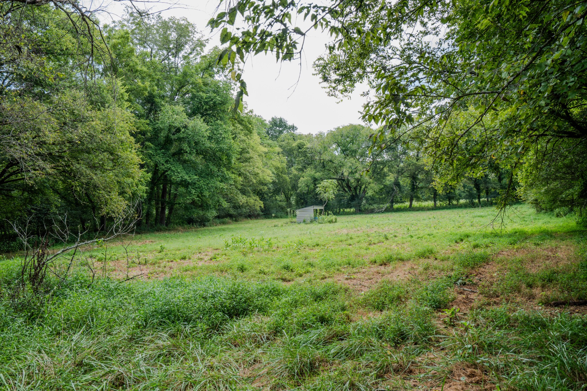 3264 Martin Hollow Road Culleoka TN 38451
