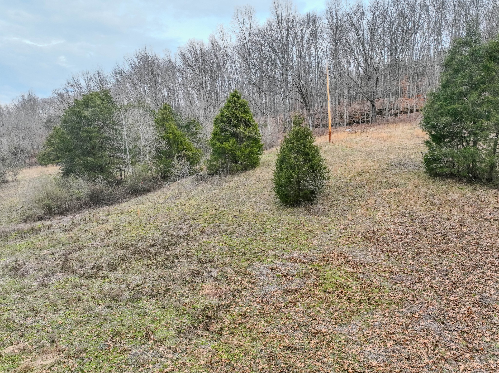 3264 Martin Hollow Road Culleoka TN 38451