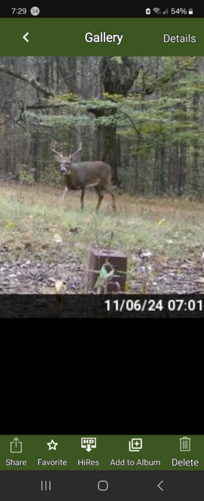 3264 Martin Hollow Road Culleoka TN 38451