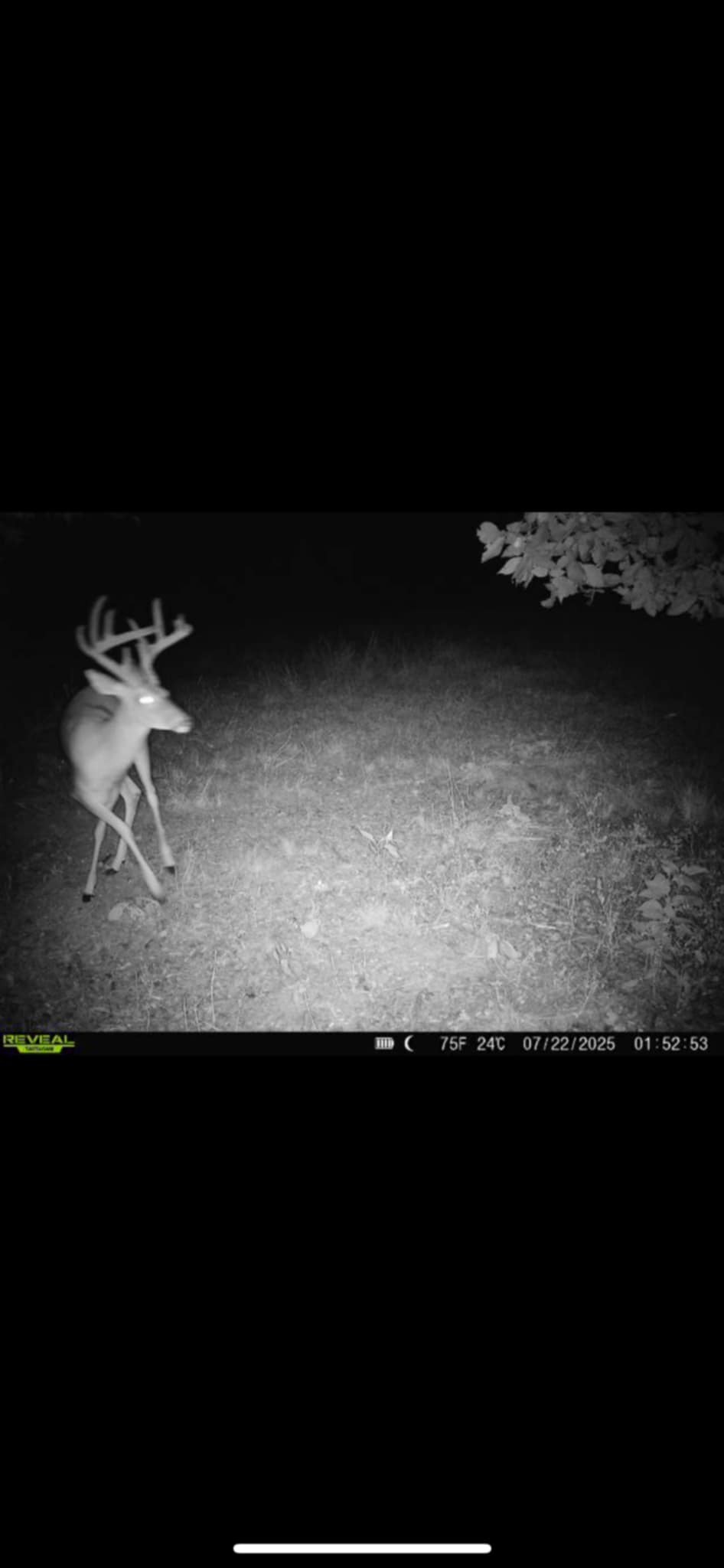 3264 Martin Hollow Road Culleoka TN 38451
