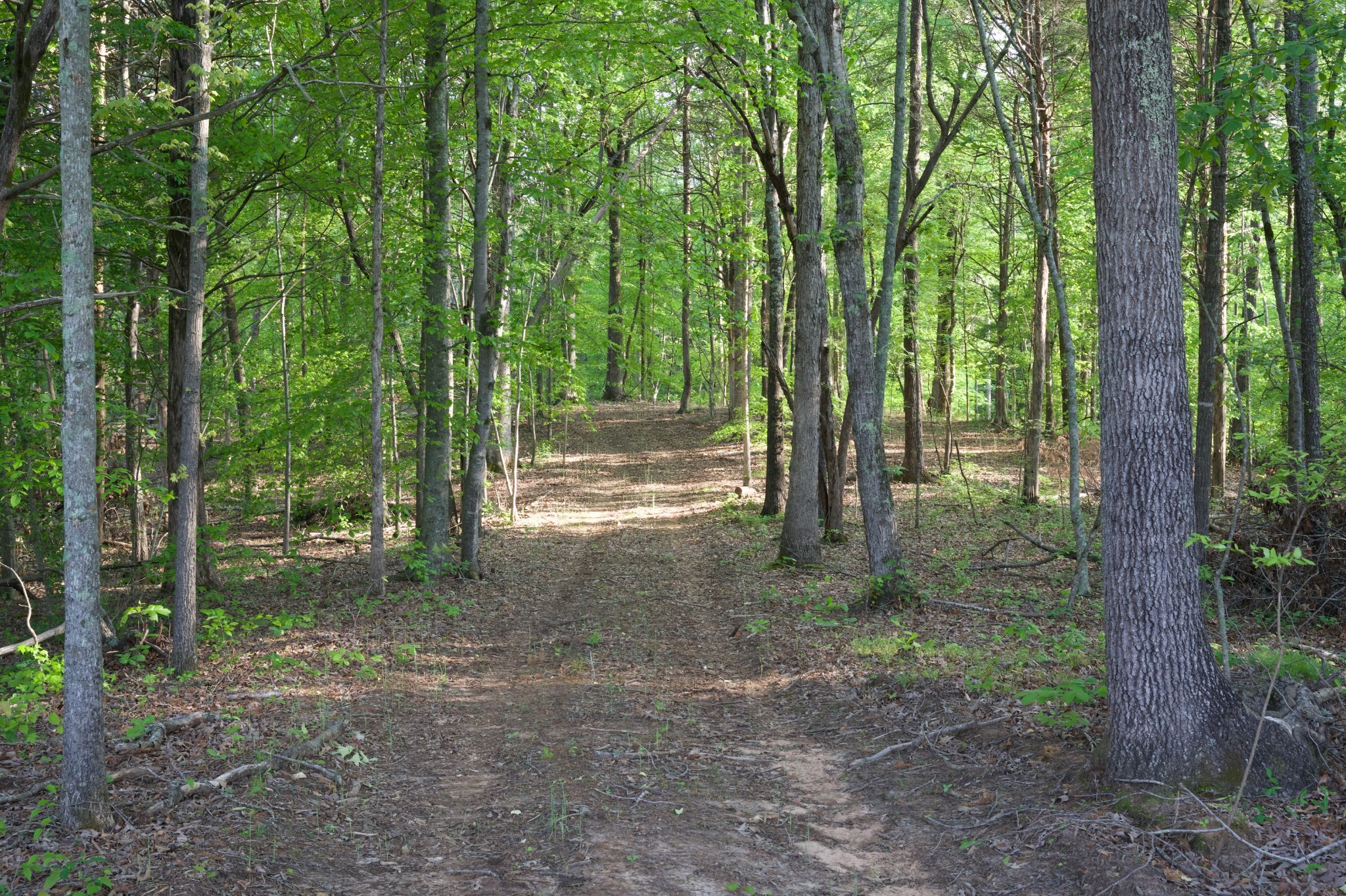 0 Hankins Road Rock Island TN 38581