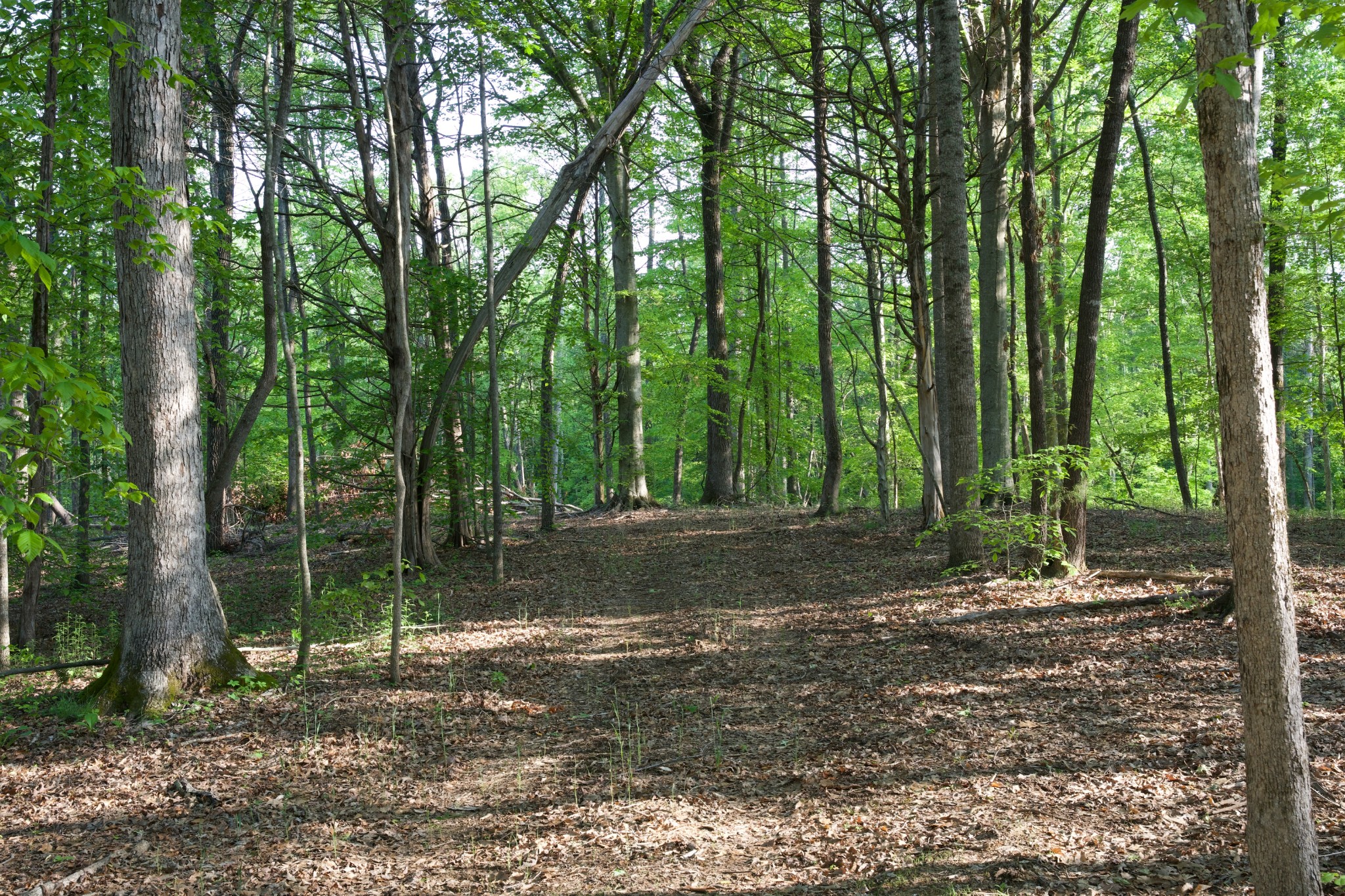 0 Hankins Road Rock Island TN 38581