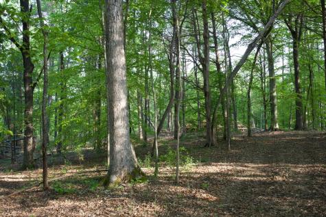 0 Hankins Road Rock Island TN 38581
