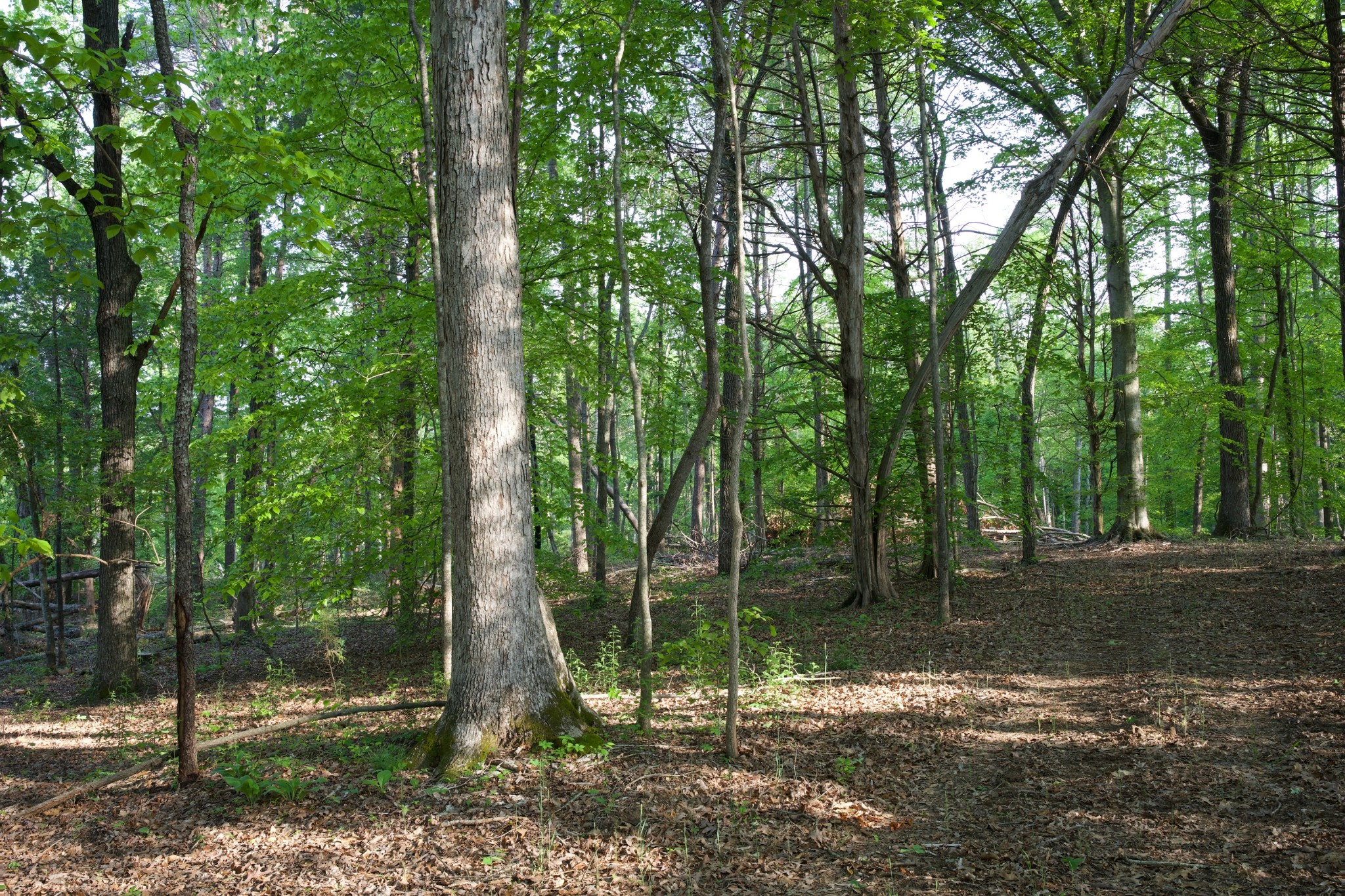 0 Hankins Road Rock Island TN 38581
