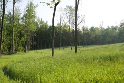 0 Hankins Road Rock Island TN 38581