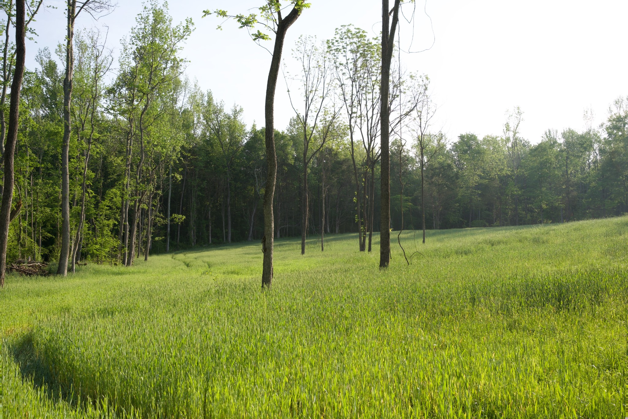 0 Hankins Road Rock Island TN 38581