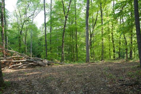 0 Hankins Road Rock Island TN 38581