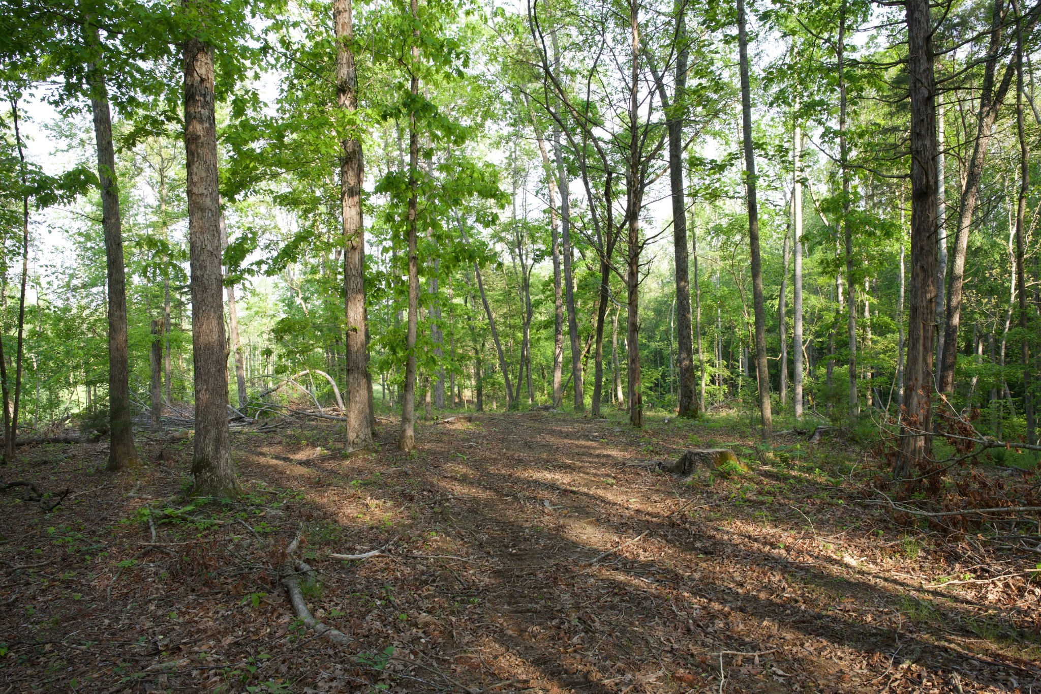0 Hankins Road Rock Island TN 38581