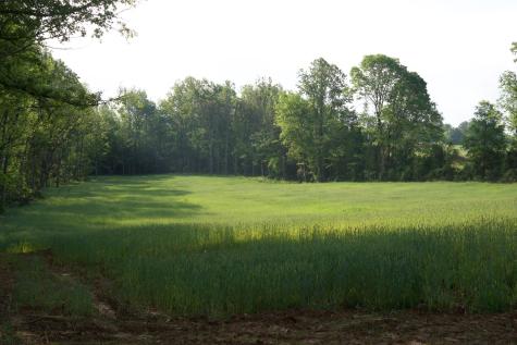 0 Hankins Road Rock Island TN 38581