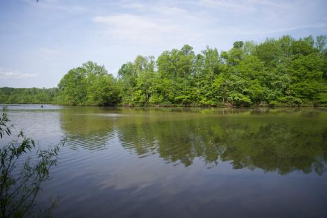 0 Hankins Road Rock Island TN 38581