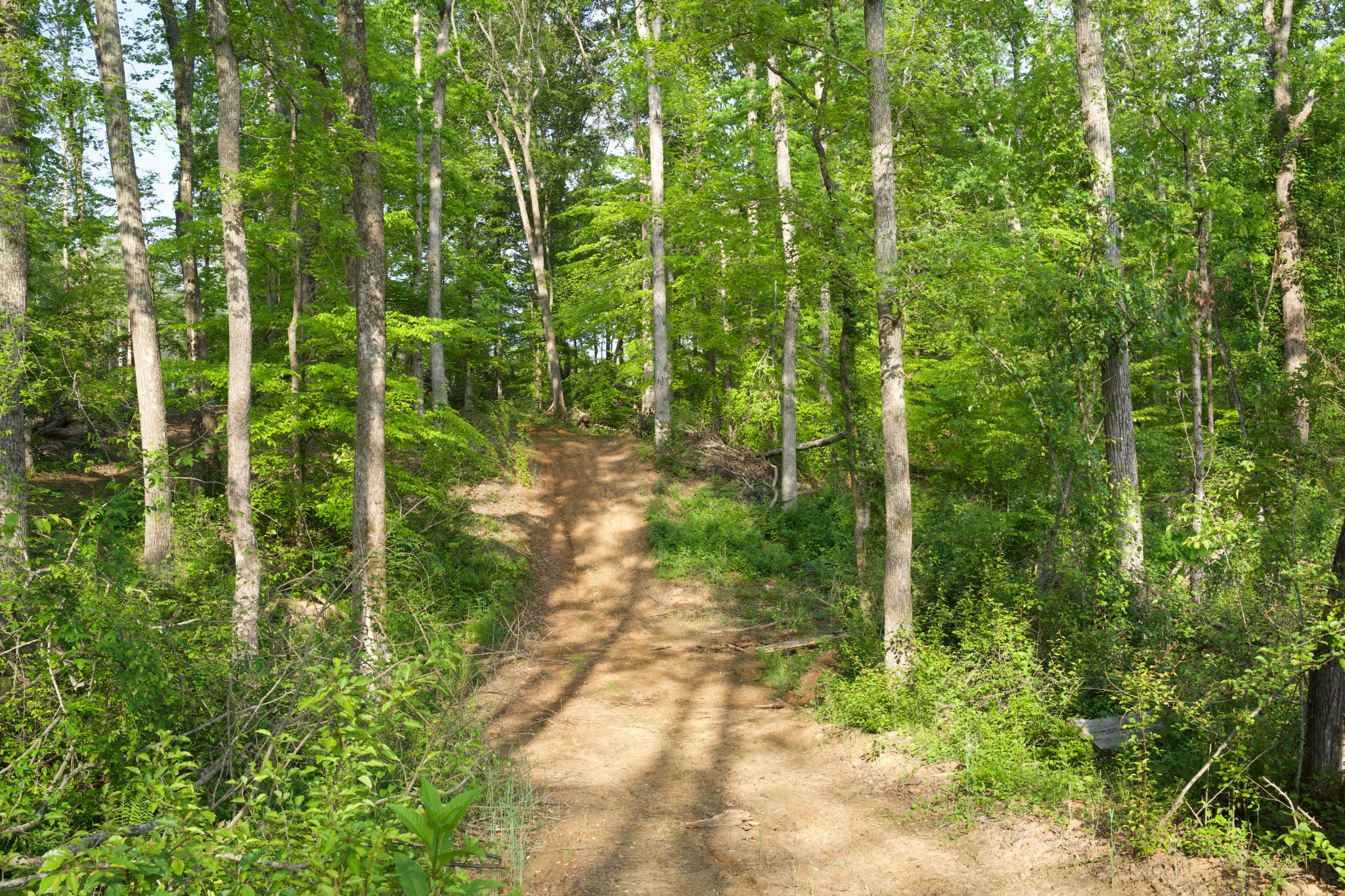 0 Hankins Road Rock Island TN 38581