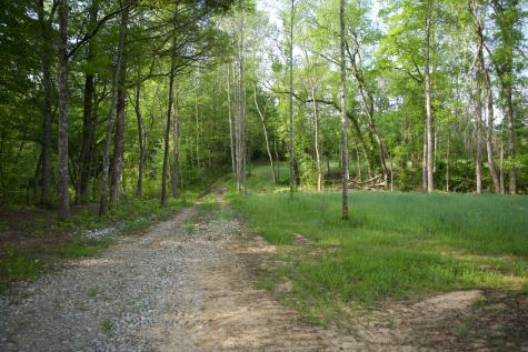 0 Hankins Road Rock Island TN 38581