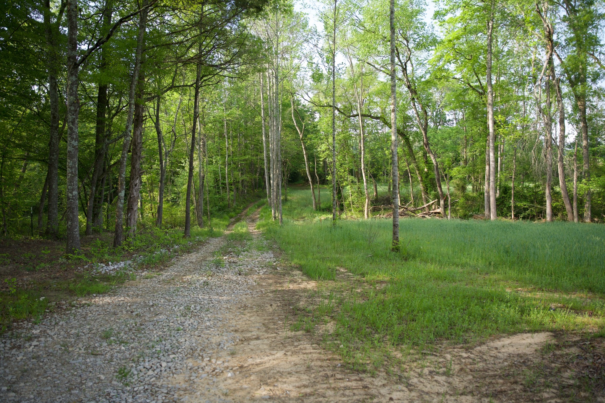 0 Hankins Road Rock Island TN 38581