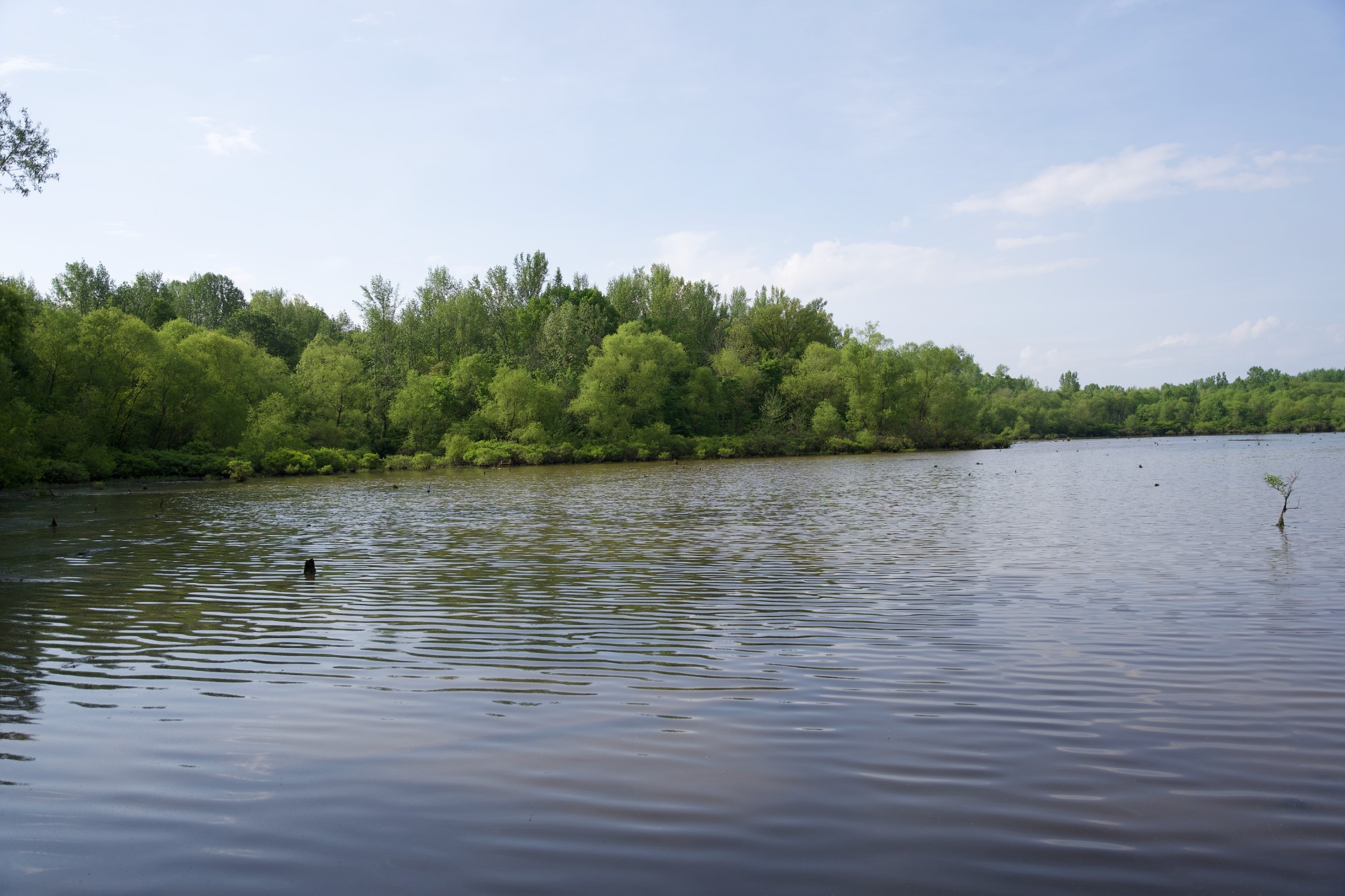 0 Hankins Road Rock Island TN 38581