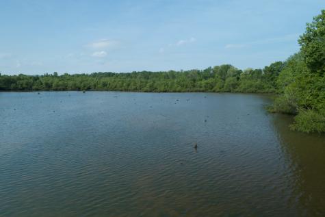 0 Hankins Road Rock Island TN 38581