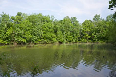 0 Hankins Road Rock Island TN 38581