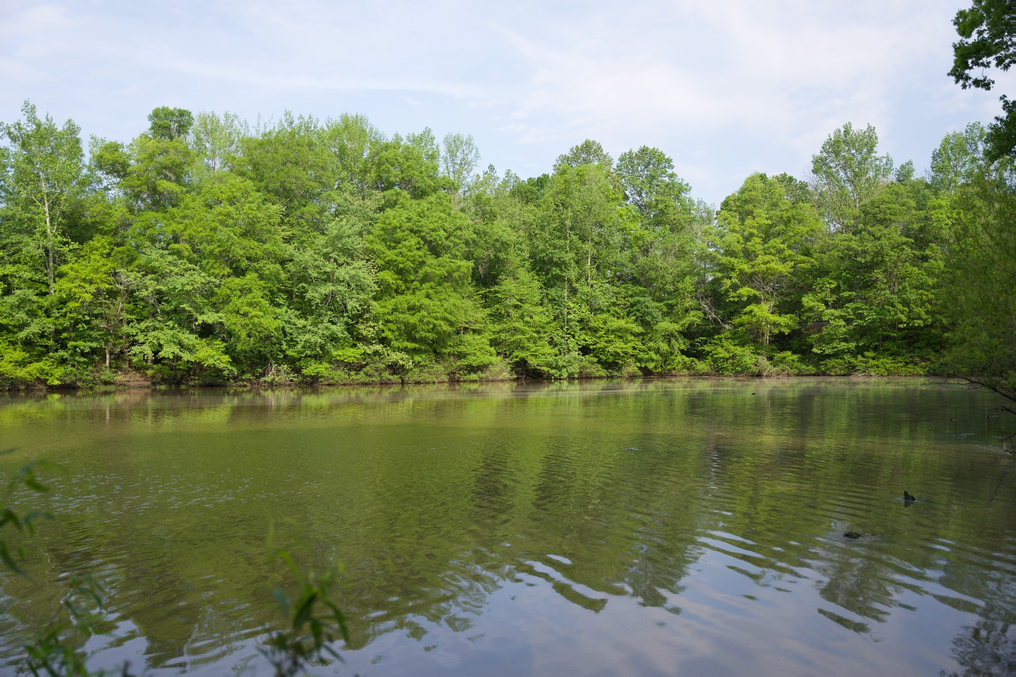 0 Hankins Road Rock Island TN 38581
