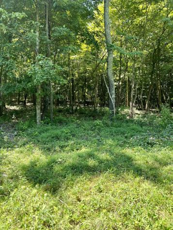0 Keytown Road Portland TN 37148