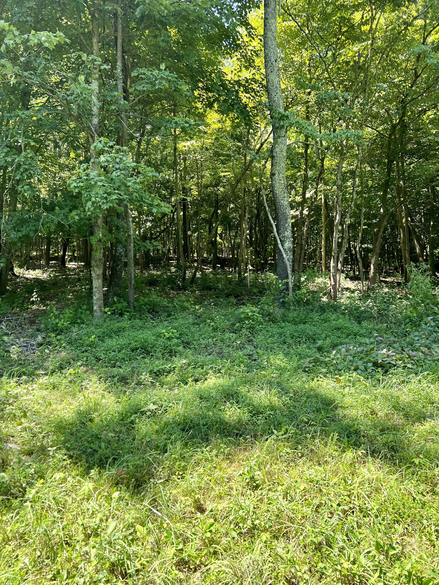 0 Keytown Road Portland TN 37148