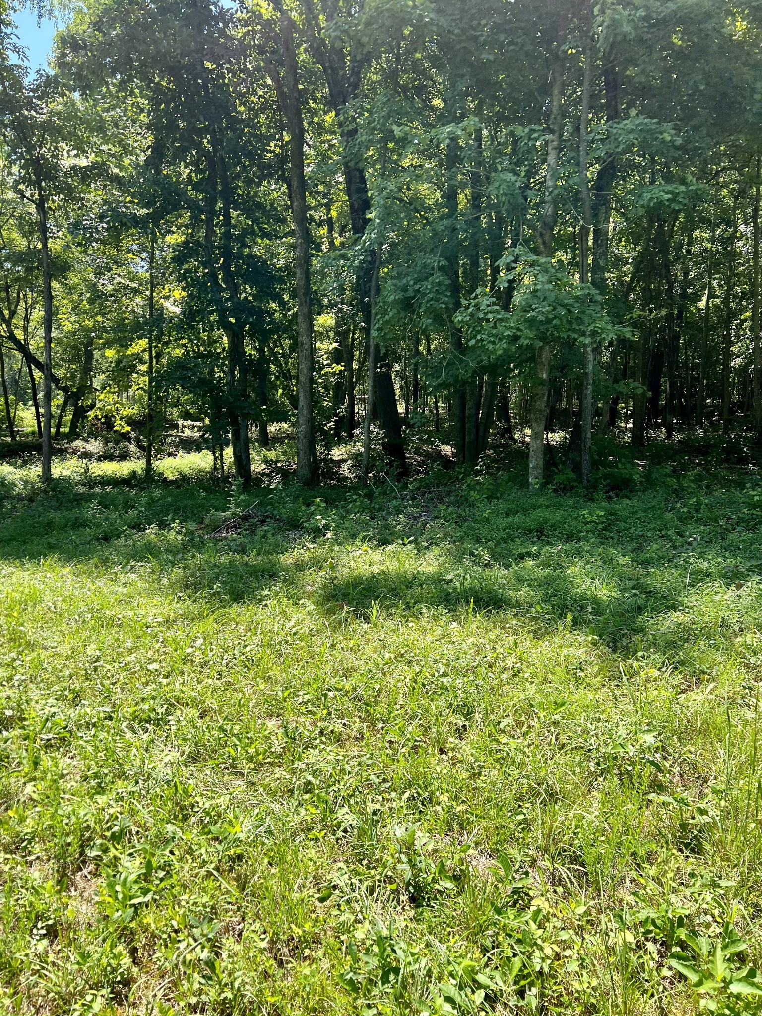0 Keytown Road Portland TN 37148