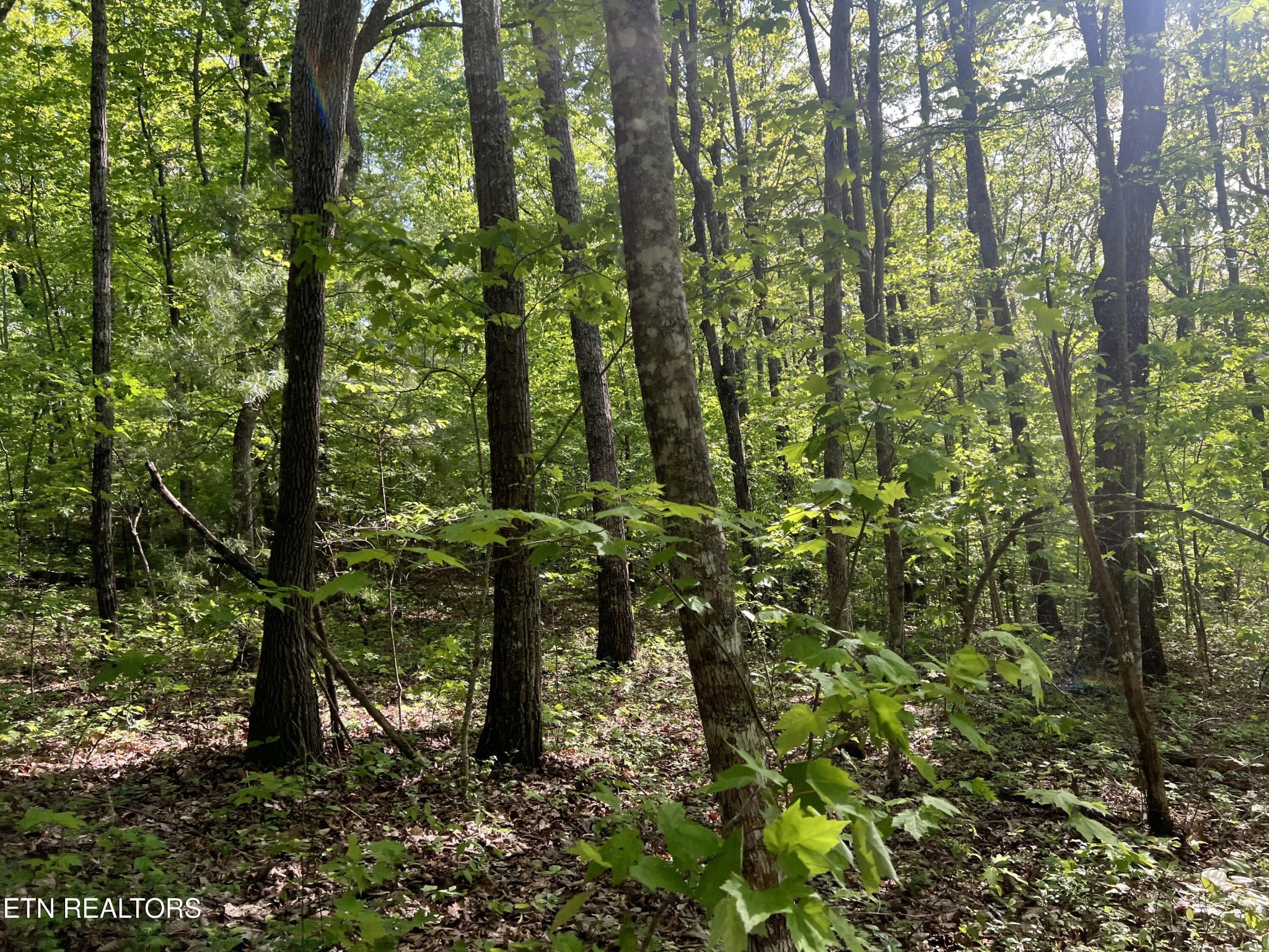 658 Peavine Firetower Road Crossville TN 38571