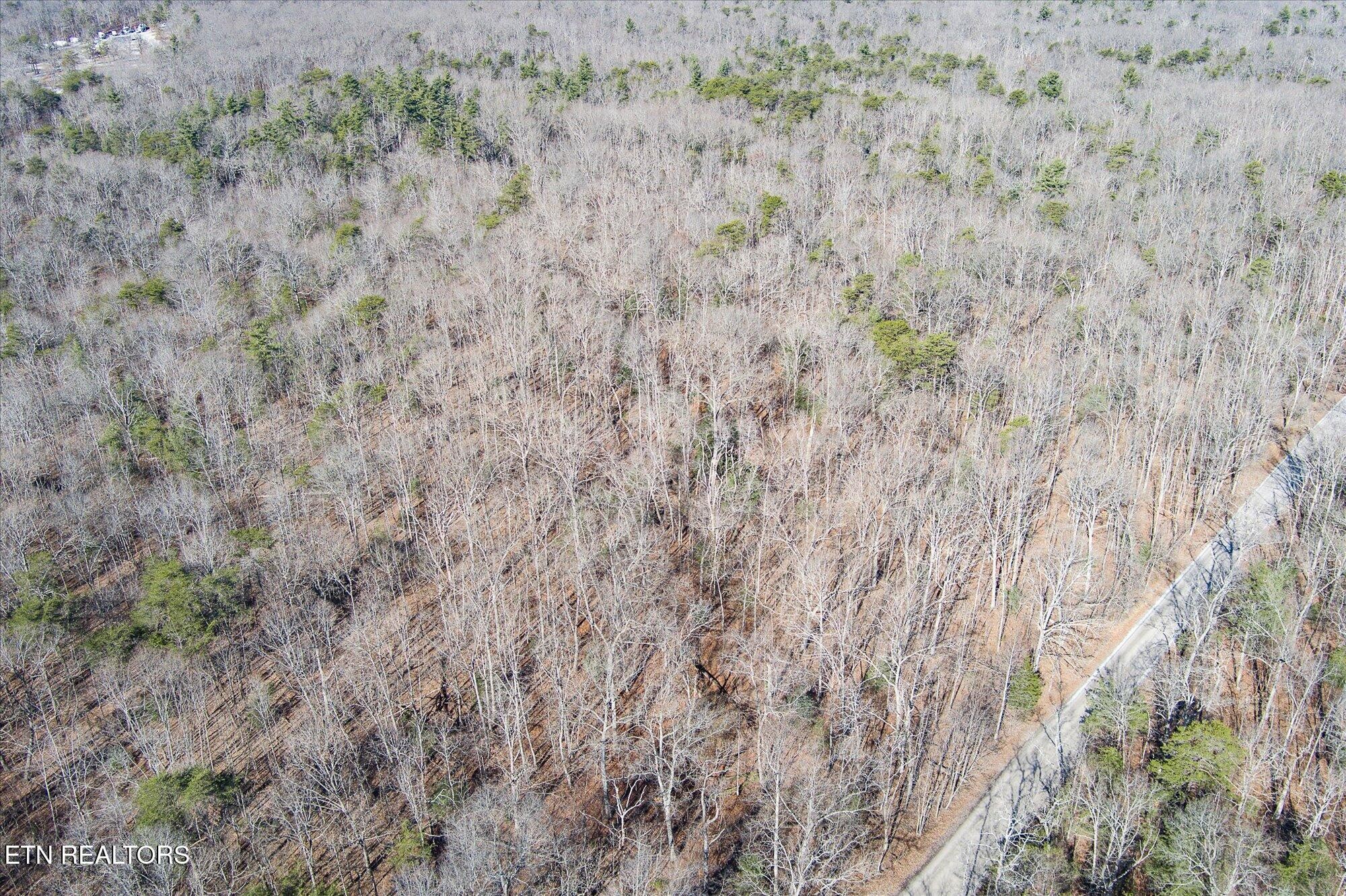 658 Peavine Firetower Road Crossville TN 38571