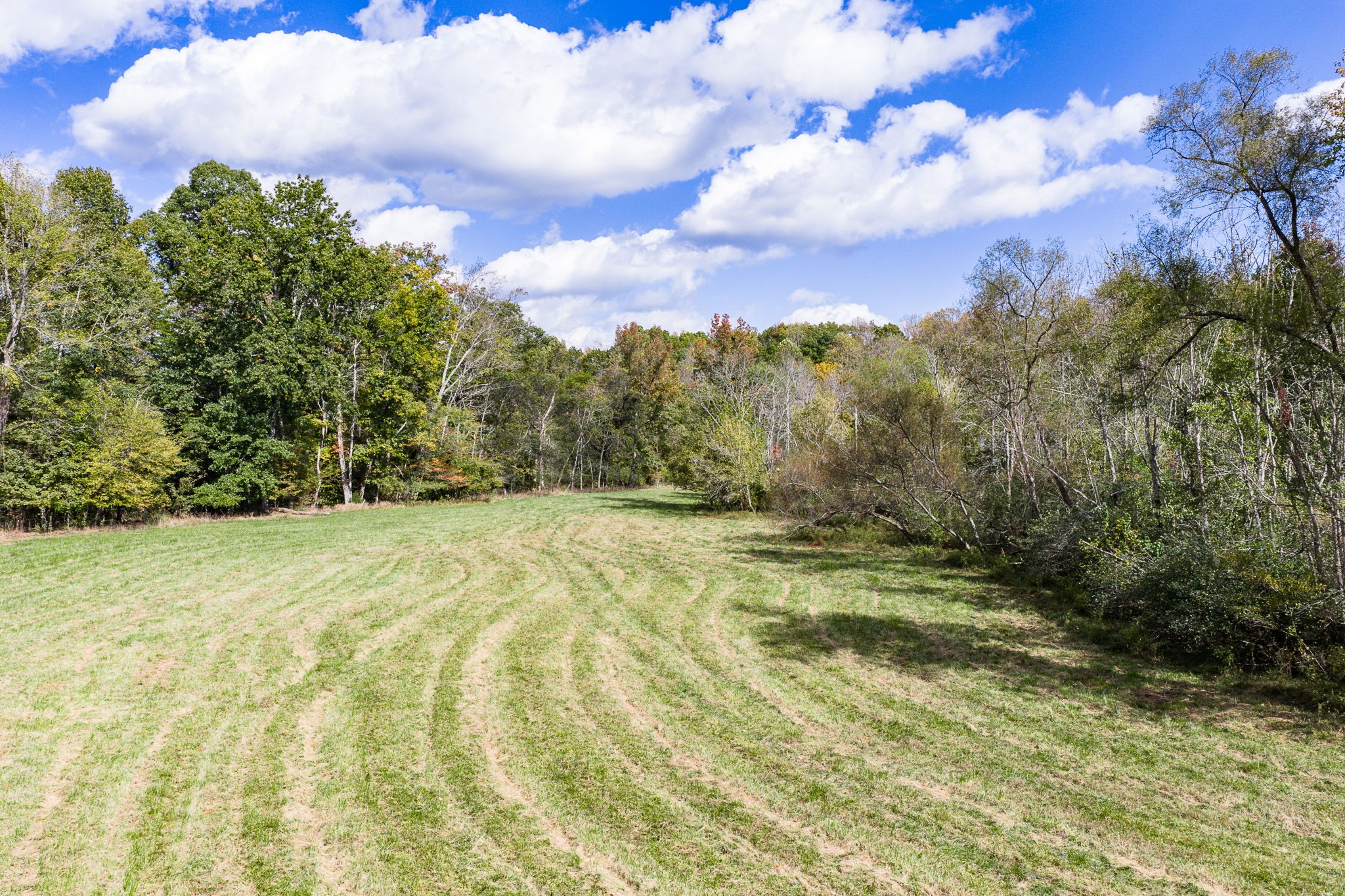 7630 Walking Horse Lane Cookeville TN 38501